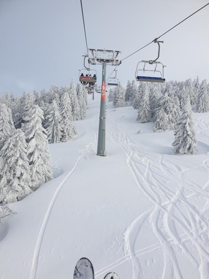 Apartman Kostic Kraljev Konak Kopaonik Exterior foto